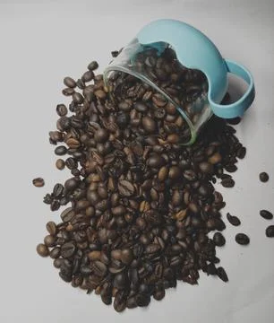 Characteristic of Lampung coffee Stock Photos