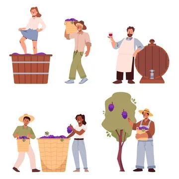 The characters collect grapes, trample them and enjoy the finished grapes. Stock Illustration