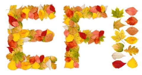 Characters e and f made of autumn leaves Foto stock