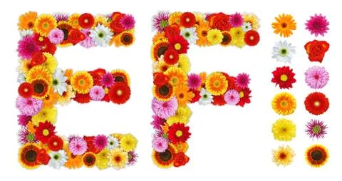 Characters e and f made of various flowers Stock Photos