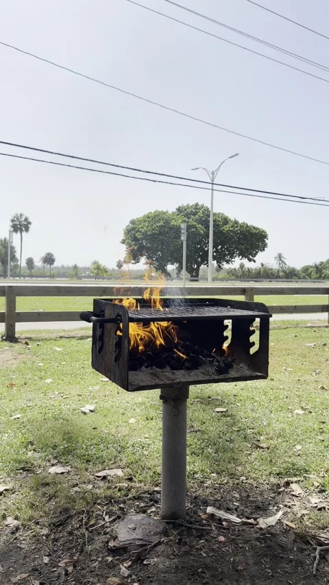 Charcoal BBQ Grill Burning in Park, Vertical 4K Stock Footage 340175911
