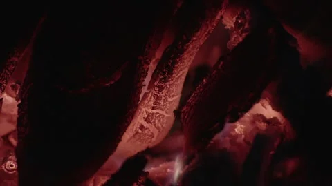 Charcoal burn with red flames Stock-Footage 142357915