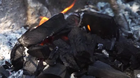 Charcoal burning in a charcoal grill Stock Footage 246230293