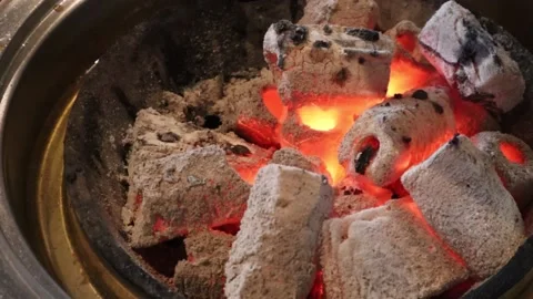 Charcoal Burning in Flames Stock Footage 225661497