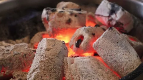 Charcoal Burning in Flames Stock Footage 225665627