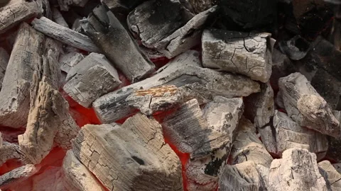 CHARCOAL BURNING Stock Footage 306682660