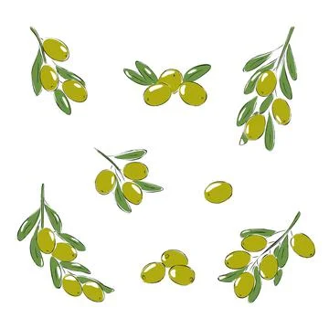 Charcoal Colored olives Stock Illustration