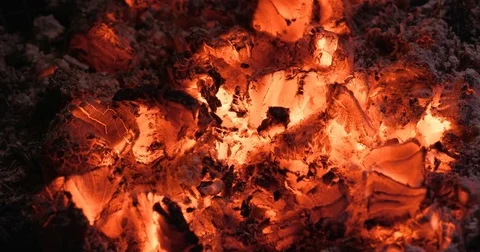 Charcoal fire barbecue Stock Footage 83804576