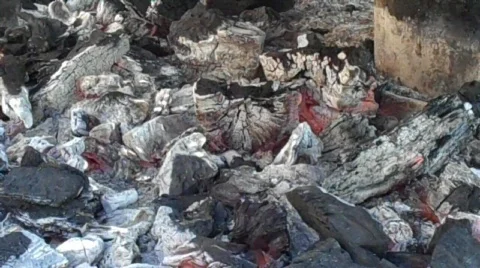 Charcoal Fire Stock Footage 709689