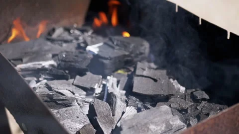 Charcoal Fire in Grill Stock Footage 293157936