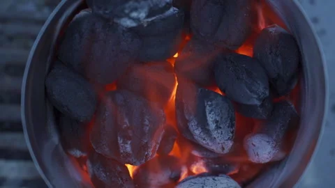 Charcoal Flames 動画素材 169201233