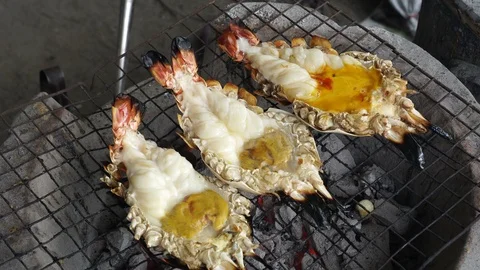 Charcoal grill giant river Open Stock Video Pond5