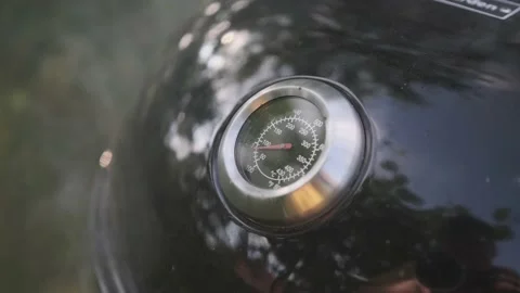 The charcoal grill is smoking Stock Footage 201020904