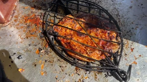 Charcoal grilled fish Stock Footage 167260269