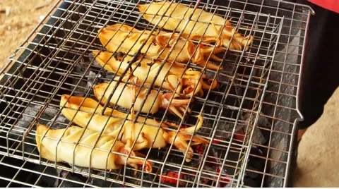 Charcoal grilled octopus Stock Footage 48521476