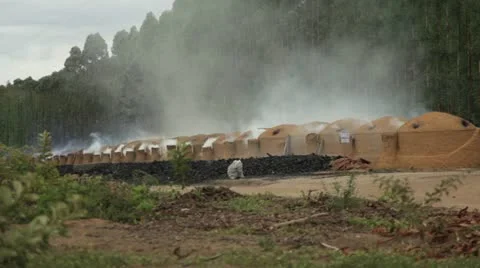 Charcoal kilns Stock Footage 22178873