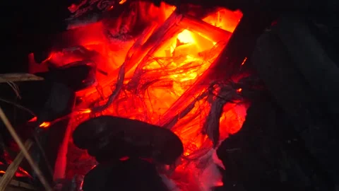 Charcoal in the oven Stock Footage 161610923