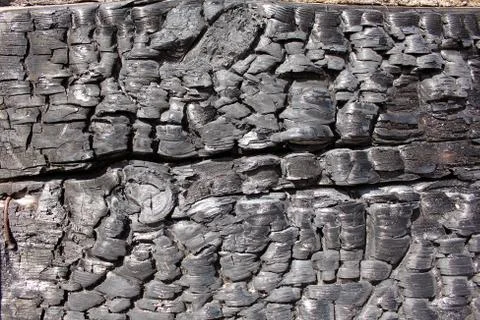 Charcoal texture Stock Photos