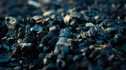 The Charcoals 写真素材