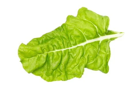 Chard leaf, close up. Beetroot leaves. Stock Photos