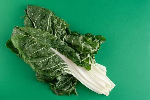 Chard leaf on green background. Stock Photos