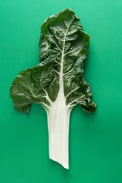 Chard leaf on green background. Stock Photos