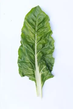 Chard Leaf Stock Photos