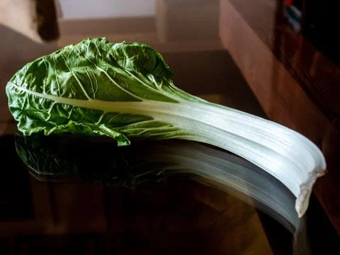 Chard leaf. Stock Photos