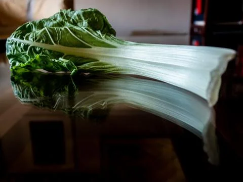 Chard leaf. Stock Photos