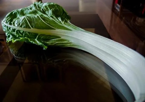 Chard leaf. Stock Photos