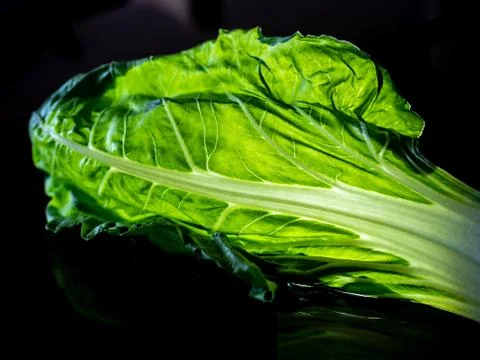 Chard leaf. Stock Photos