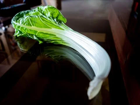 Chard leaf. Stock Photos
