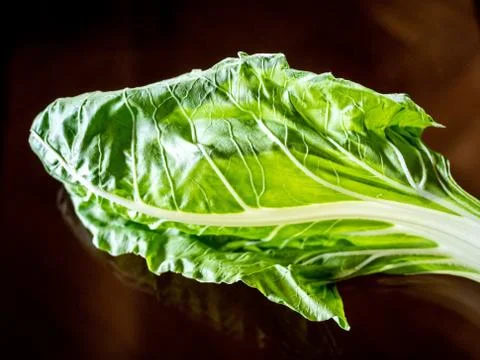 Chard leaf. Stock Photos