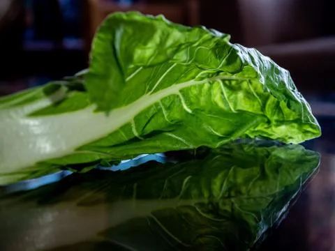 Chard leaf. Stock Photos