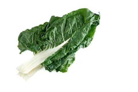 Chard leaf on white background. Stock Photos