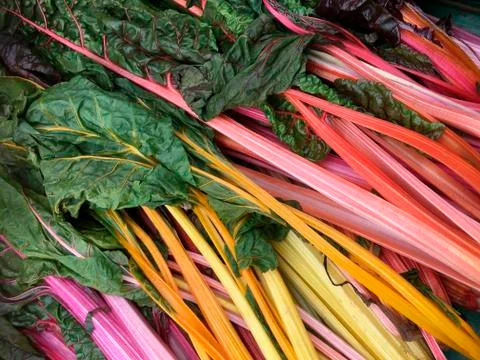 Chard - a leafy green vegetable Stock Photos