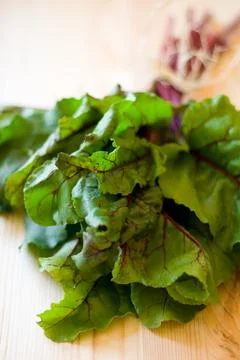 Chard leaves Stock Photos