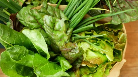 Chard red green bag vegetable market bio shop leaves, white swiss stemmed fresh Stock Footage 211024439