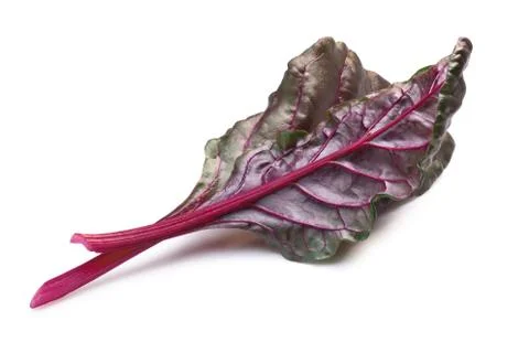Chard (silverbeet, mangold) leaves, paths Foto stock
