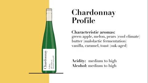 Chardonnay animation Video stock 134391612