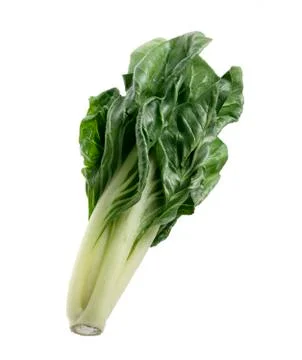 Chards on white background 02 Stock Photos