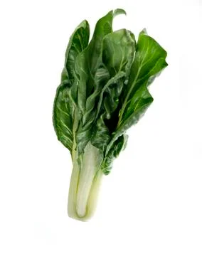 Chards on white background Stock Photos