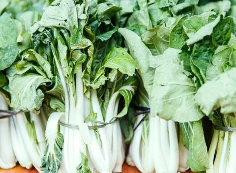 Chards,philippines Stock Photos