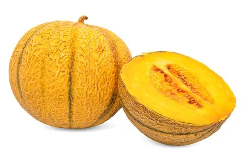 Charentais melon 3d rendering with realistic texture Stock Illustration