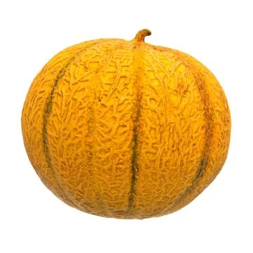 Charentais melon close-up 3d rendering with realistic texture Stock Illustration