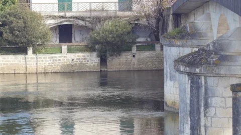 Charente river with cute duck wild life, Mansle, France, 28.2.2020 is this Stock Footage 125988194