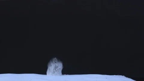 Charge White snow I EXPLOSION SLOW MO ALPHA INCLUDED HQ ready for compositing Stock Footage 109578856