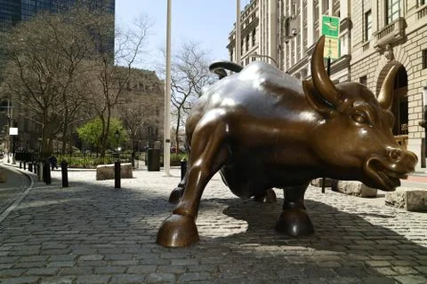 Charging BulL Shadow 스톡 사진