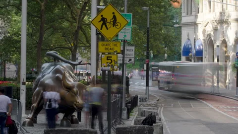 Charging Bull Timelapse Stock Footage 247667287