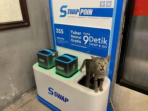 Charging Cat Stock Photos